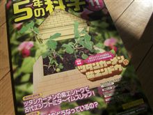 収穫はいつ？