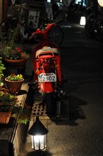 night snapを撮る