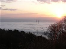 とある日の、お山の朝なのです～♪