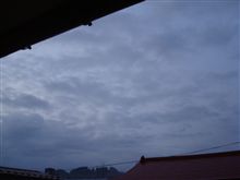 １１月２６日　またしても雨上がりな木曜日の朝、おはです～♪