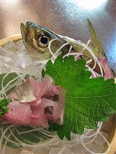今日のディナーは、「庄や」アジの活き作り