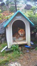 気楽に、気楽に…。
