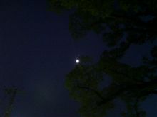 月は朧に東山ぁ♪
