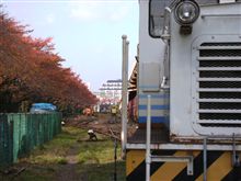 引込み線の『紅葉』