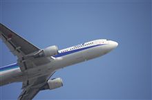 撮り鉄鳥をやってみました。