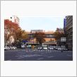 秋に色づく、仙台市♪