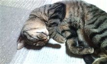 みんカラ満五年&お友達 みんカラ満五年&お友達