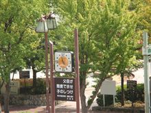 親知らず経過報告