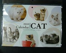 かわいいの見つけた！！　来年のねこカレンダー
