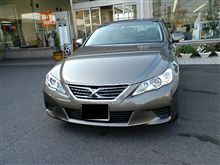 マークX見に行ってきました マークX見に行ってきました