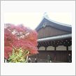 京都の秋
