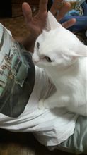朝からベッタリ 朝からベッタリ