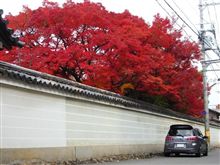 近所で紅葉(ﾟ∀ﾟ　) 