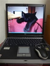 購買意欲向上計画!?(謎) 購買意欲向上計画!?(謎)