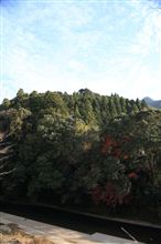 ドライブラリー、動画編