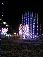 札幌ホワイトイルミネーション