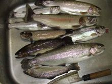 流れるプールで戯れる 流れるプールで戯れる
