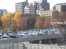 紅葉が綺麗でした。