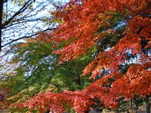 １１月末だというのに．．．