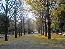 続：１１月末だというのに．．．