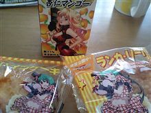 今日の行動