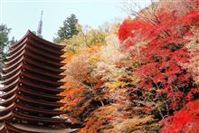 奈良に紅葉散策
