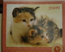 師走になりました～　１２月のねこカレンダー