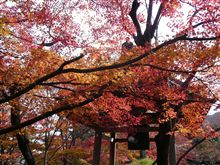 京都旅行のフォトギャラリ－