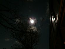 月夜
