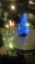 【雨の中の】クリスマスツリー