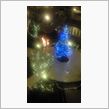 【雨の中の】クリスマスツリー