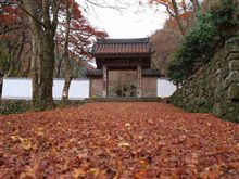 散り果ての紅葉