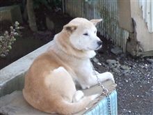 やらかしましたｗｗｗ