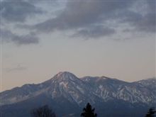 でもやっぱり・・・・