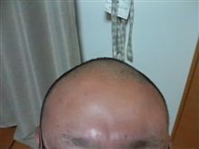 冬なのに… 