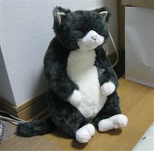 ソメゴロー
