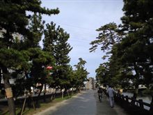 草加言えば？
