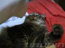 土日は・・・mochaしゃん・・・大暴れ！！！