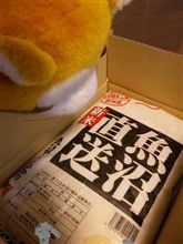 師走てやつは・・・・・