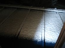 雪　積もりました。