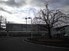 定点観測 12/15火