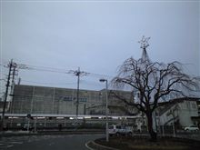 定点観測 12/16水