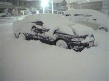降りますかね～