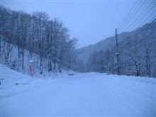 週末は