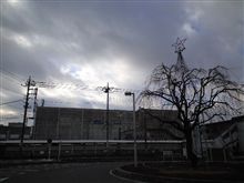 定点観測 12/17木