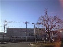 定点観測 12/18金