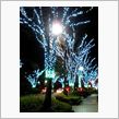 最後の夜・・・