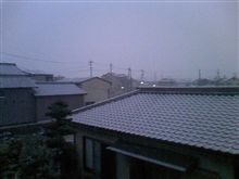 こちらでも雪が