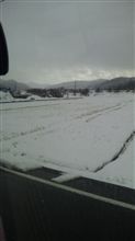 雪ってるやん