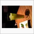 飲み